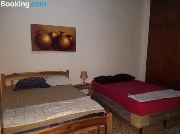 Casa Lucys Hostal Granada Esterno foto